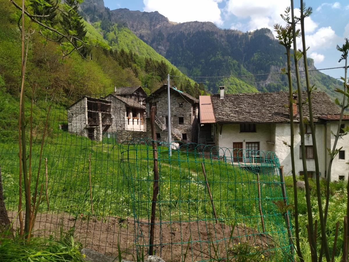 Il Fiume Di Fianco. Appartamento Alta Valsesia Mollia 외부 사진